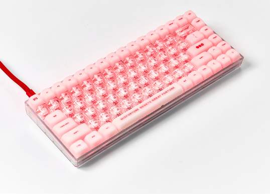 BTS Wired Keyboard WK-001 with C to C Cable and Keycap Puller K-POP