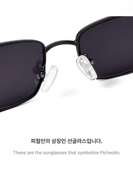 SEVENTEEN Sunglasses with Case and Photo Card K-POP