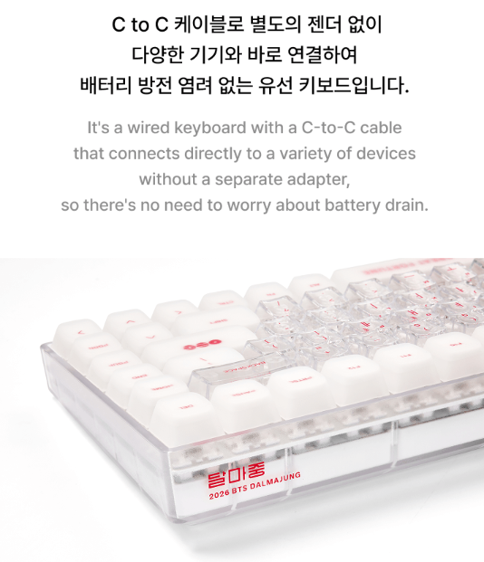 BTS Wired Keyboard WK-001 with C to C Cable and Keycap Puller K-POP