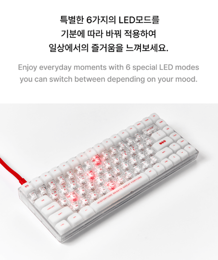 BTS Wired Keyboard WK-001 with C to C Cable and Keycap Puller K-POP
