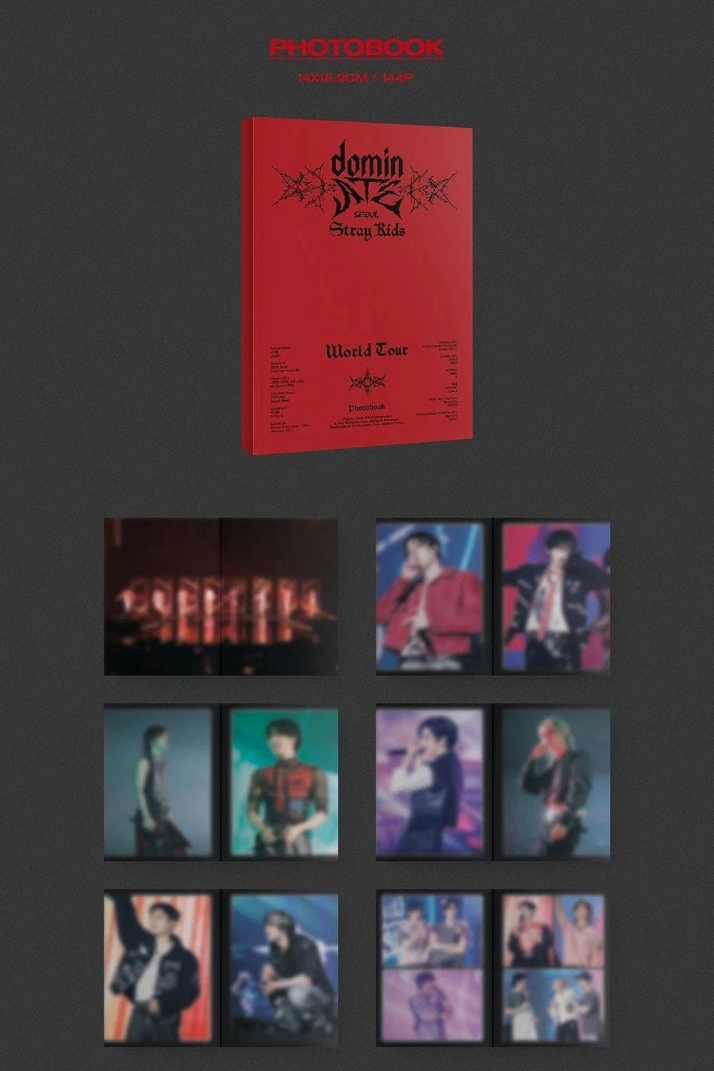 Stray Kids World Tour dominATE SEOUL DVD