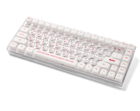 BTS Wired Keyboard WK-001 with C to C Cable and Keycap Puller K-POP
