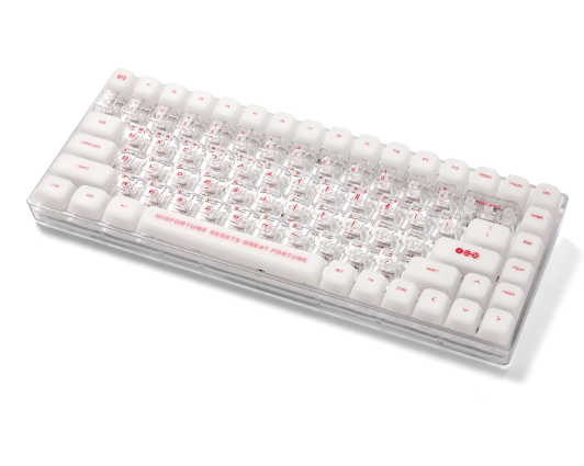 BTS Wired Keyboard WK-001 with C to C Cable and Keycap Puller K-POP