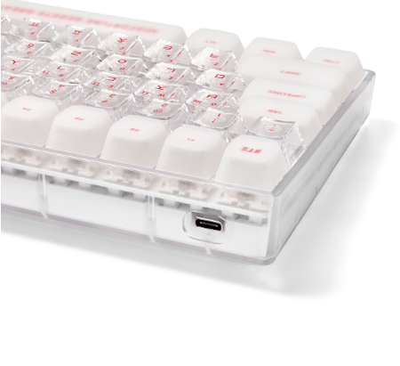 BTS Wired Keyboard WK-001 with C to C Cable and Keycap Puller K-POP