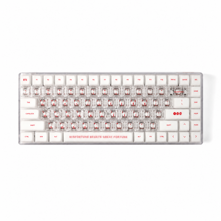 BTS Wired Keyboard WK-001 with C to C Cable and Keycap Puller K-POP